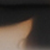 Żółw