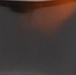 Żółw