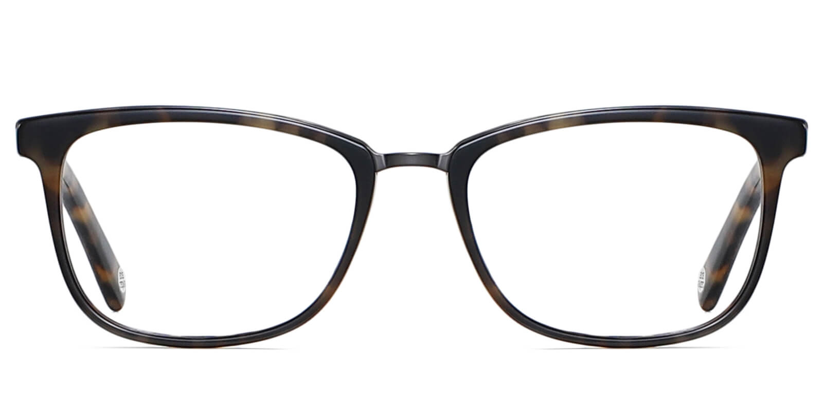 EYE8069-1-Willens-ciemny