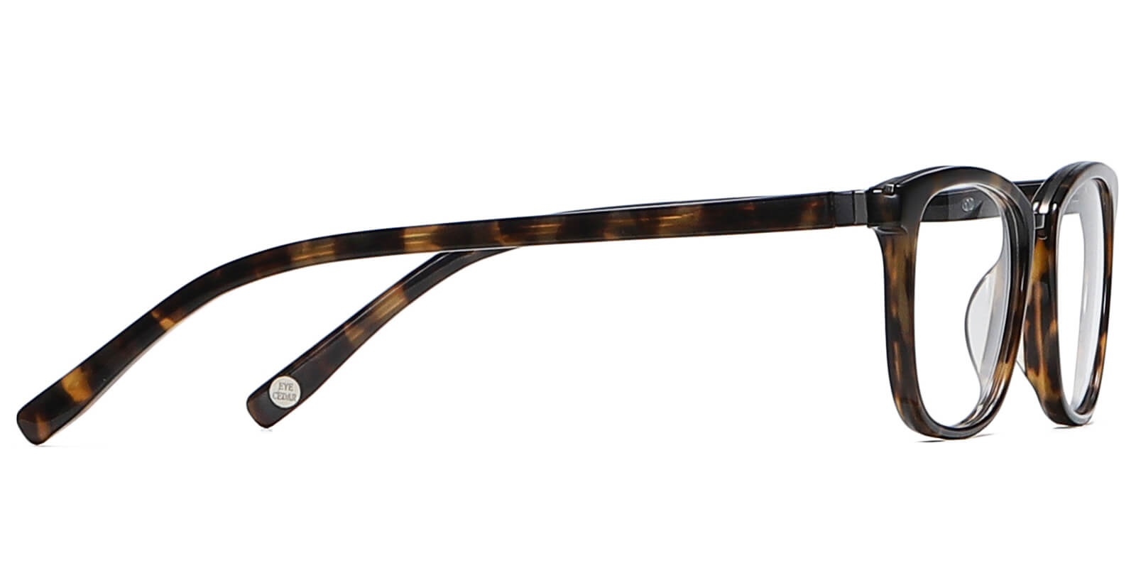 EYE8069-1-Willens-ciemny