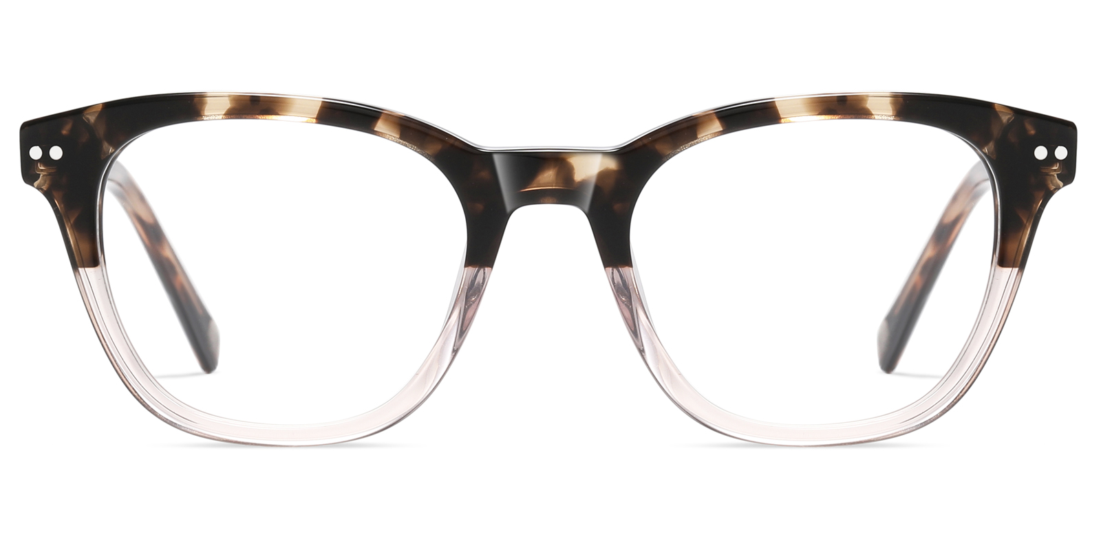 EYE8975TL-Ublich-Żółw